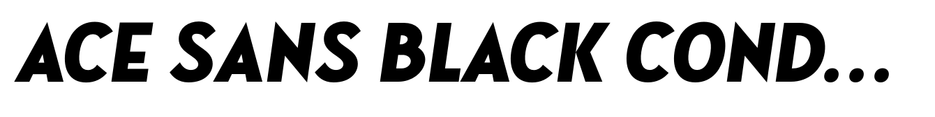 Ace Sans Black Condensed Oblique